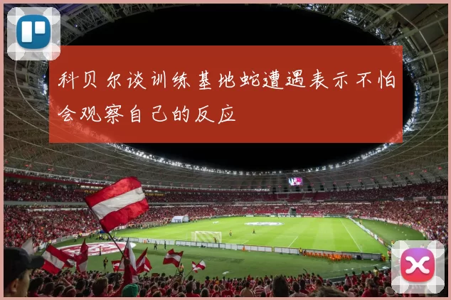 科贝尔谈训练基地蛇遭遇表示不怕会观察自己的反应