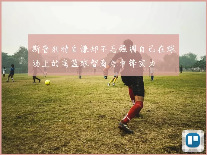 斯普利特自谦却不忘强调自己在球场上的高篮球智商与中锋实力